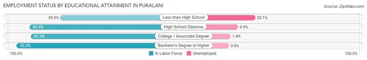 Employment Status by Educational Attainment in Pukalani