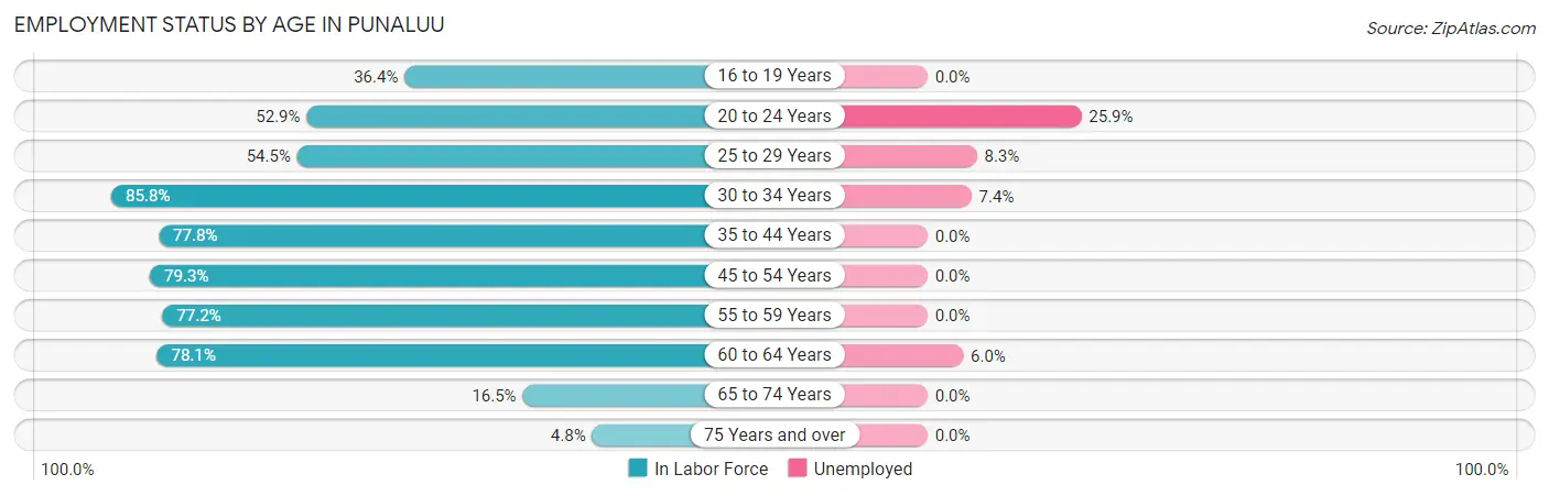Employment Status by Age in Punaluu