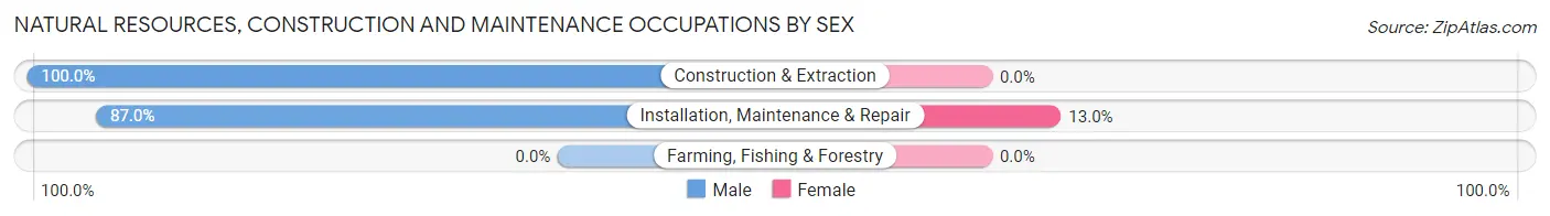Natural Resources, Construction and Maintenance Occupations by Sex in Pupukea