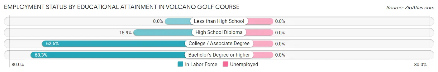 Employment Status by Educational Attainment in Volcano Golf Course