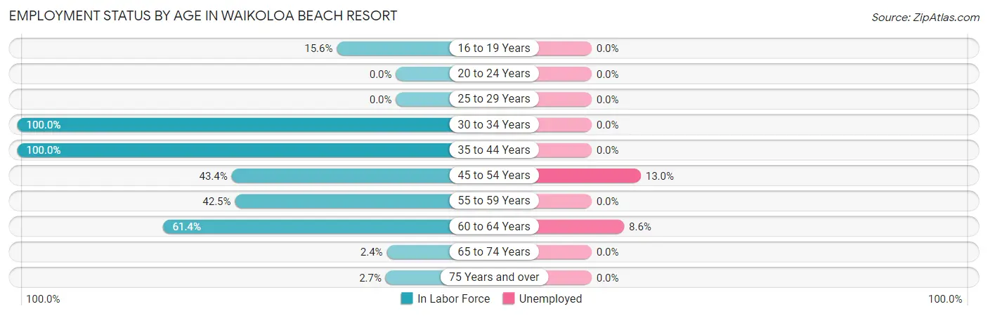 Employment Status by Age in Waikoloa Beach Resort