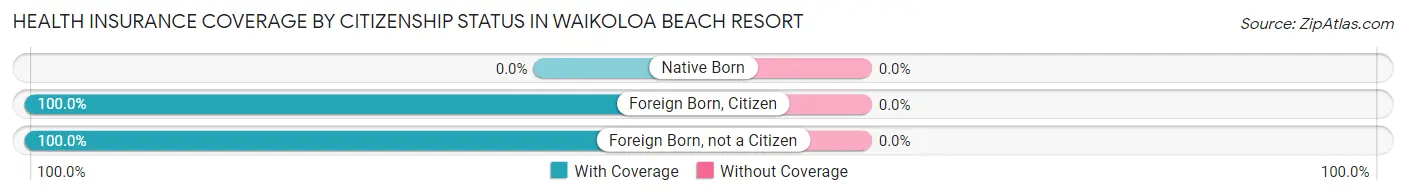 Health Insurance Coverage by Citizenship Status in Waikoloa Beach Resort