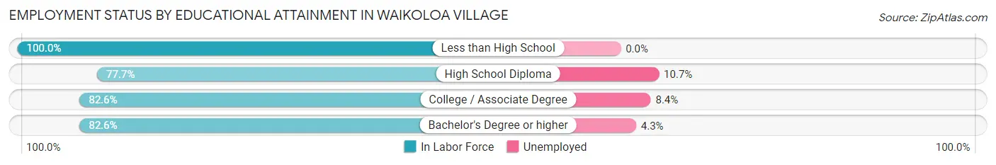 Employment Status by Educational Attainment in Waikoloa Village
