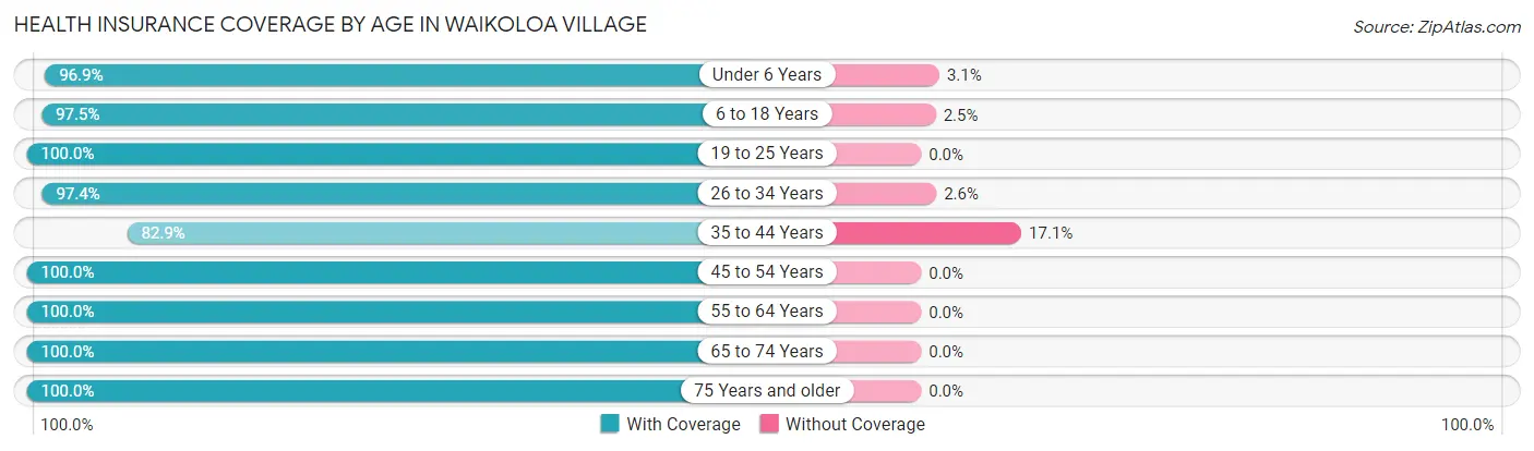 Health Insurance Coverage by Age in Waikoloa Village