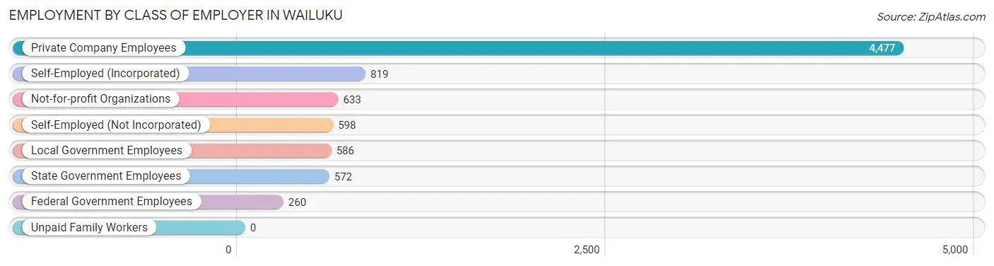 Employment by Class of Employer in Wailuku