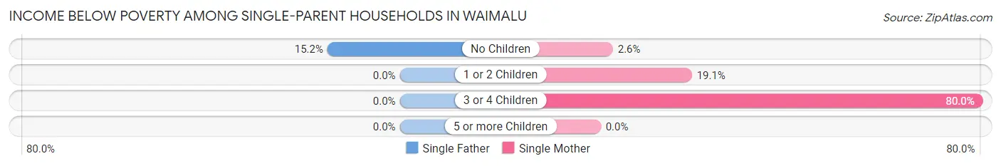 Income Below Poverty Among Single-Parent Households in Waimalu