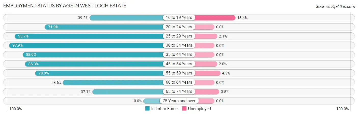 Employment Status by Age in West Loch Estate