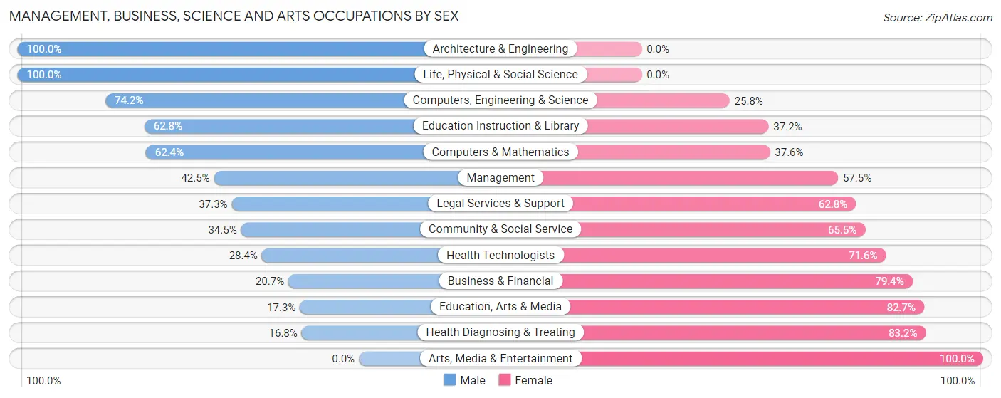 Management, Business, Science and Arts Occupations by Sex in West Loch Estate