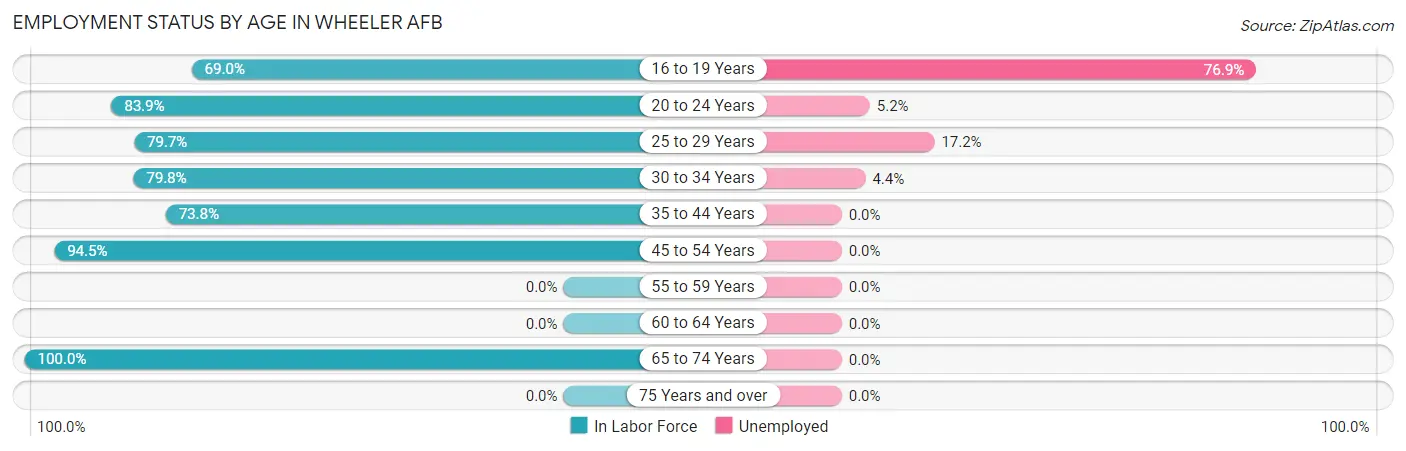 Employment Status by Age in Wheeler AFB