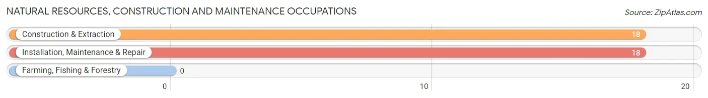 Natural Resources, Construction and Maintenance Occupations in Wheeler AFB