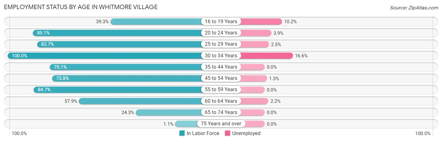 Employment Status by Age in Whitmore Village