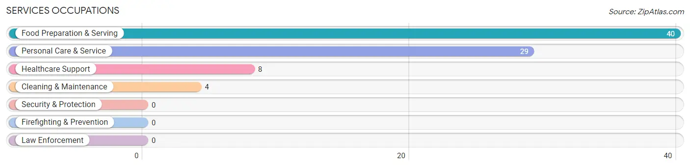 Services Occupations in Afton