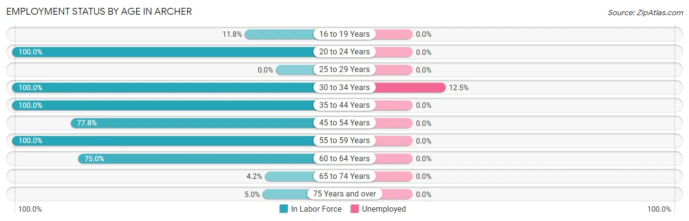 Employment Status by Age in Archer