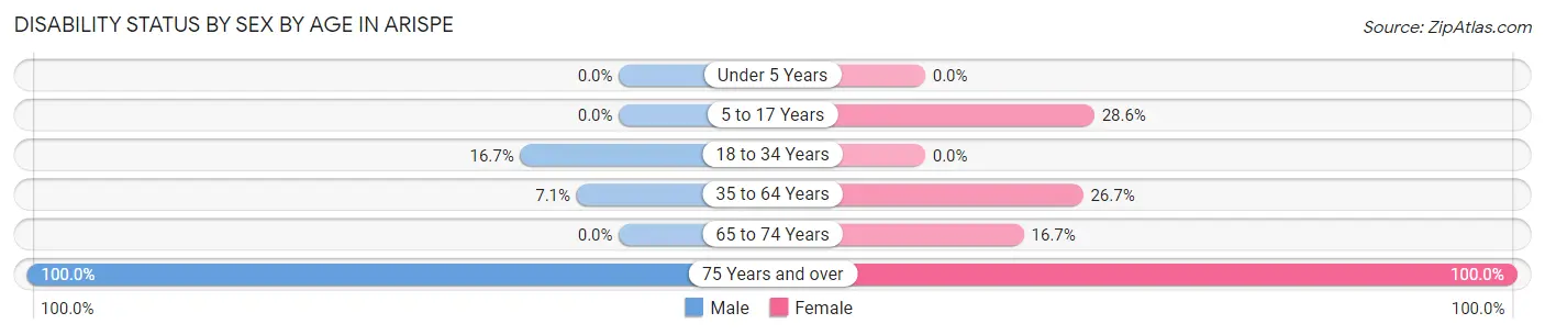 Disability Status by Sex by Age in Arispe