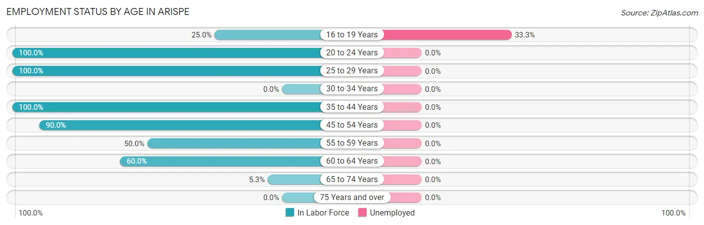 Employment Status by Age in Arispe