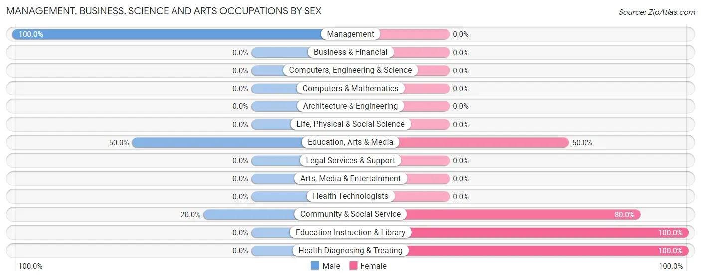Management, Business, Science and Arts Occupations by Sex in Arispe