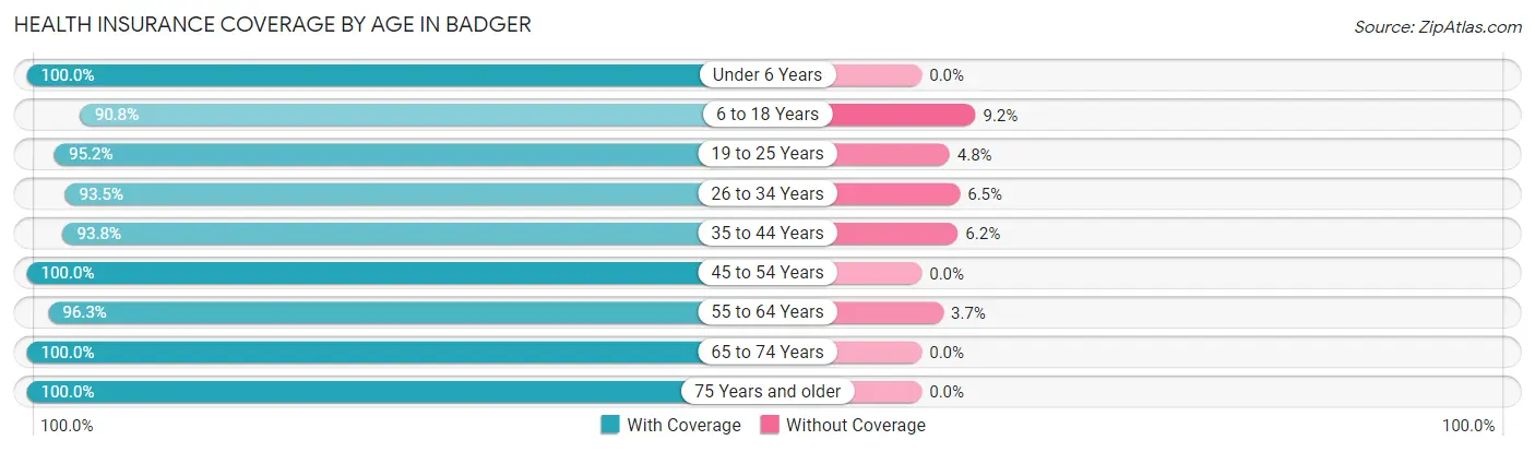 Health Insurance Coverage by Age in Badger