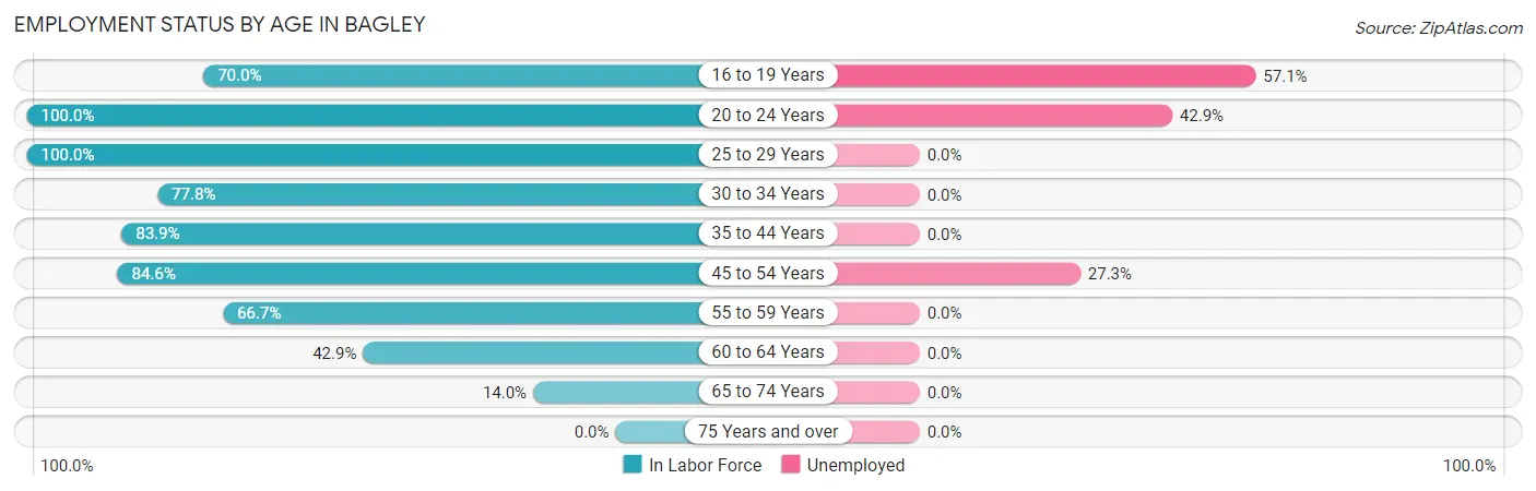 Employment Status by Age in Bagley