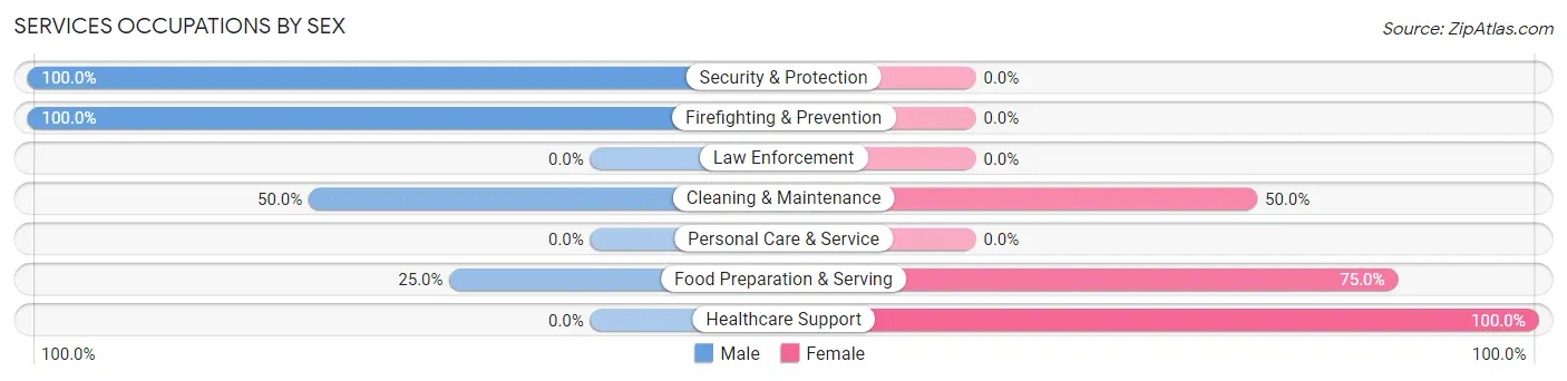 Services Occupations by Sex in Bagley