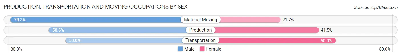 Production, Transportation and Moving Occupations by Sex in Batavia