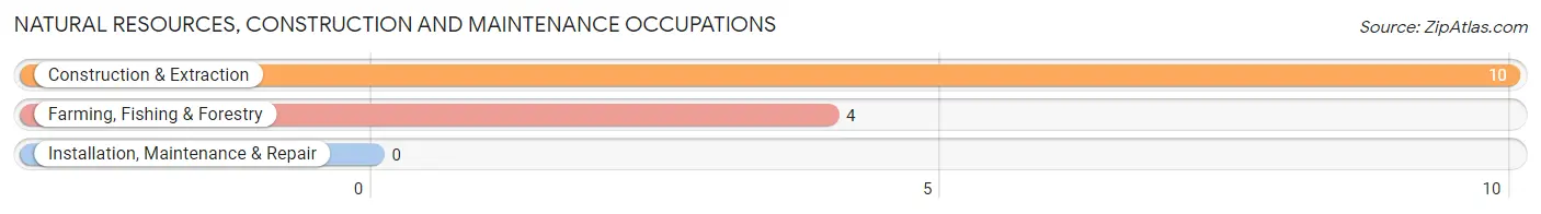 Natural Resources, Construction and Maintenance Occupations in Bernard