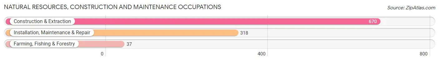 Natural Resources, Construction and Maintenance Occupations in Bettendorf