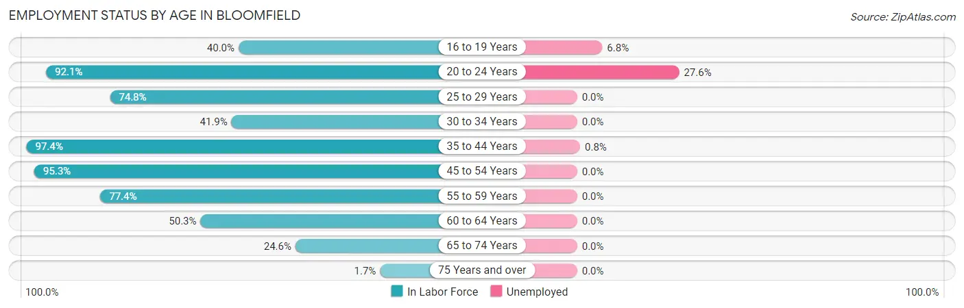 Employment Status by Age in Bloomfield