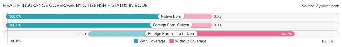 Health Insurance Coverage by Citizenship Status in Bode