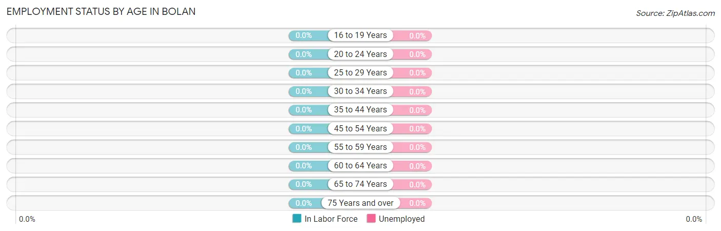 Employment Status by Age in Bolan