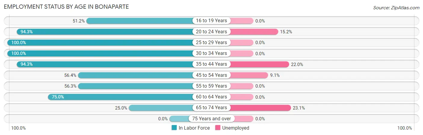 Employment Status by Age in Bonaparte