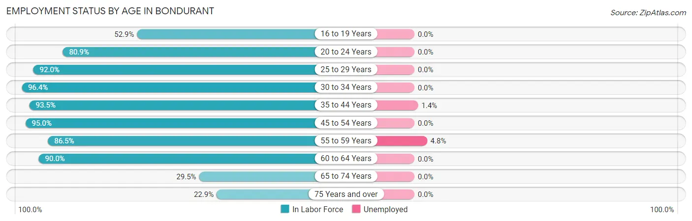 Employment Status by Age in Bondurant
