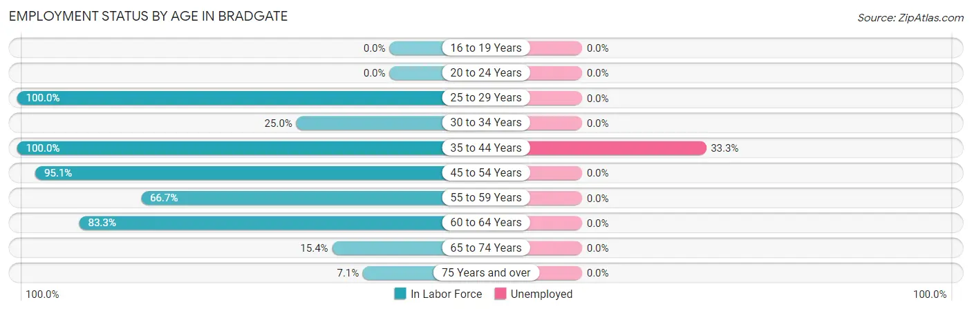 Employment Status by Age in Bradgate