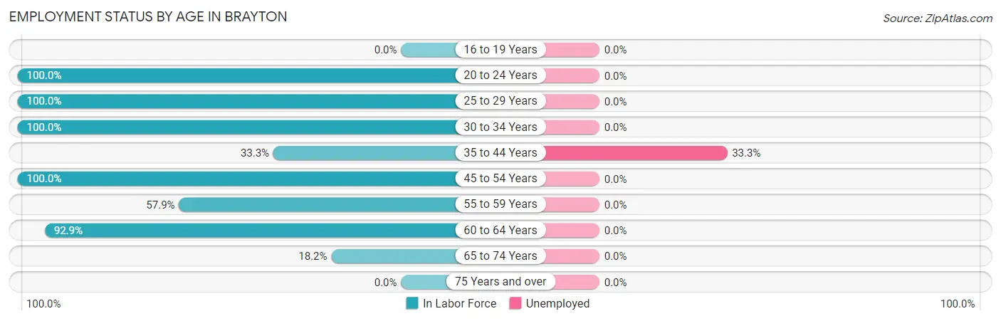 Employment Status by Age in Brayton
