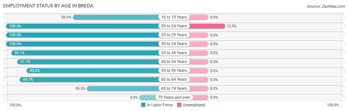 Employment Status by Age in Breda
