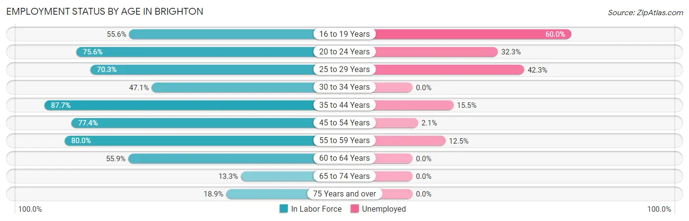 Employment Status by Age in Brighton
