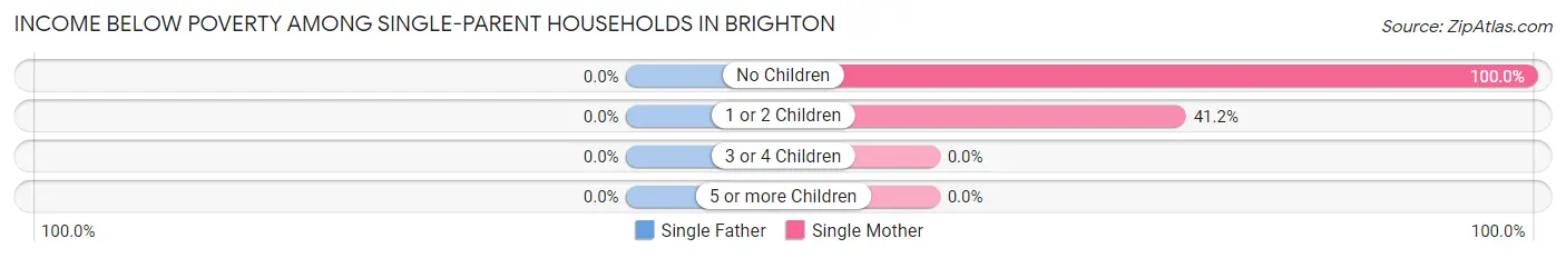 Income Below Poverty Among Single-Parent Households in Brighton
