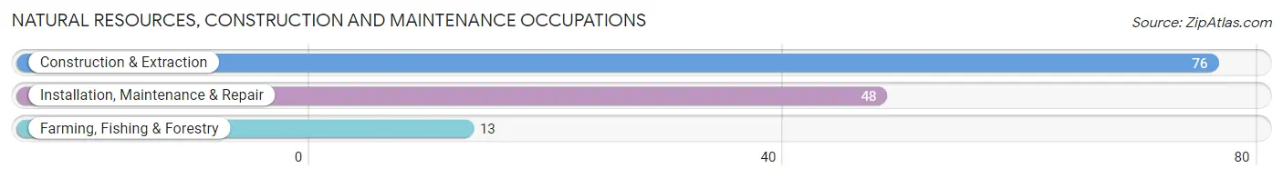 Natural Resources, Construction and Maintenance Occupations in Brooklyn