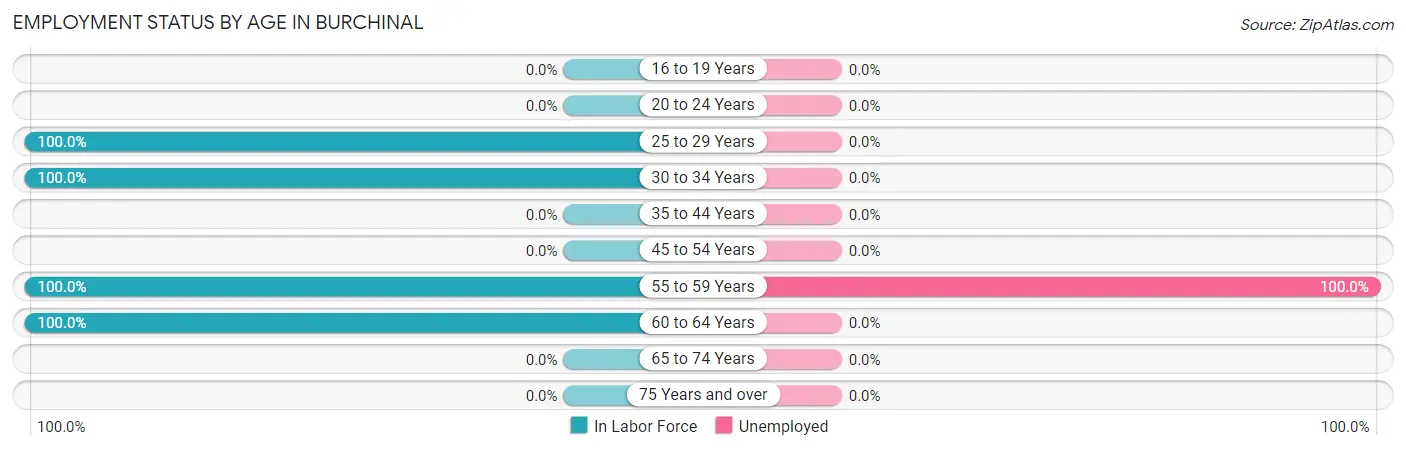Employment Status by Age in Burchinal