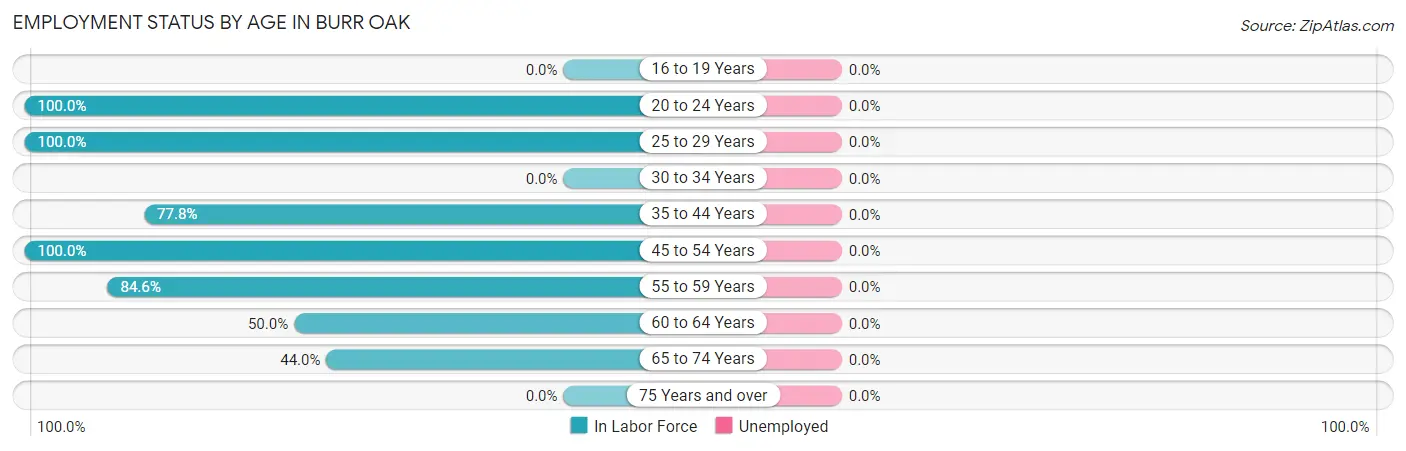 Employment Status by Age in Burr Oak