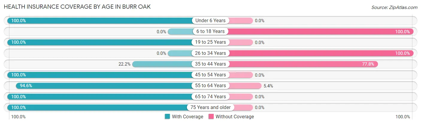 Health Insurance Coverage by Age in Burr Oak