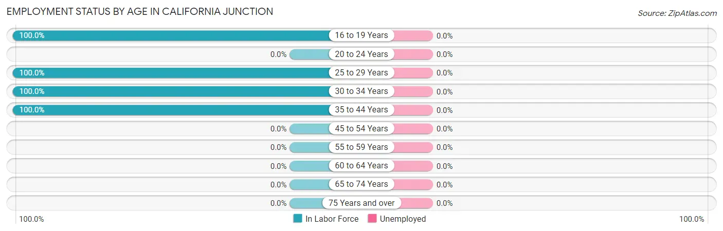 Employment Status by Age in California Junction