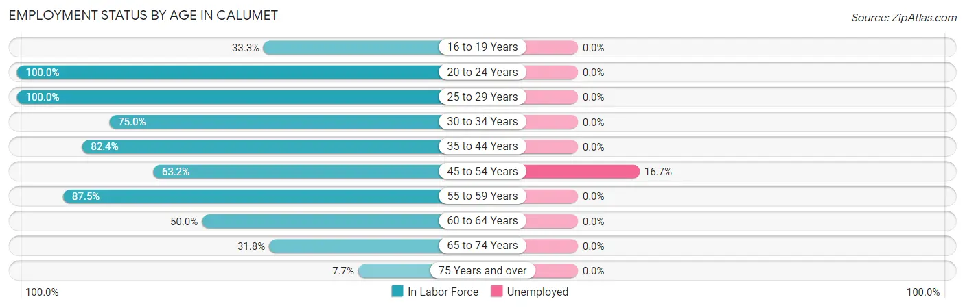 Employment Status by Age in Calumet