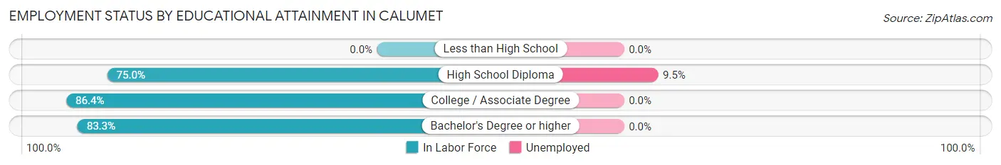 Employment Status by Educational Attainment in Calumet