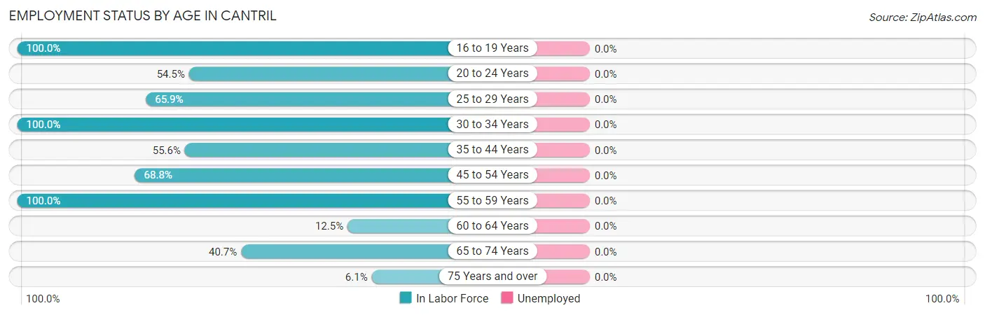 Employment Status by Age in Cantril