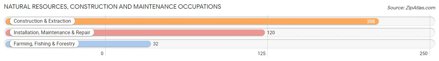 Natural Resources, Construction and Maintenance Occupations in Carroll