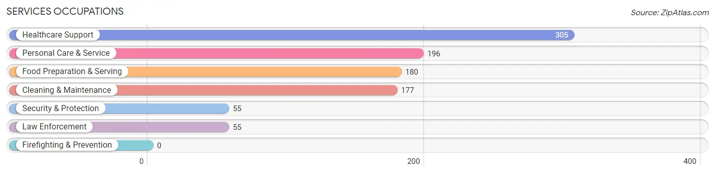 Services Occupations in Carroll