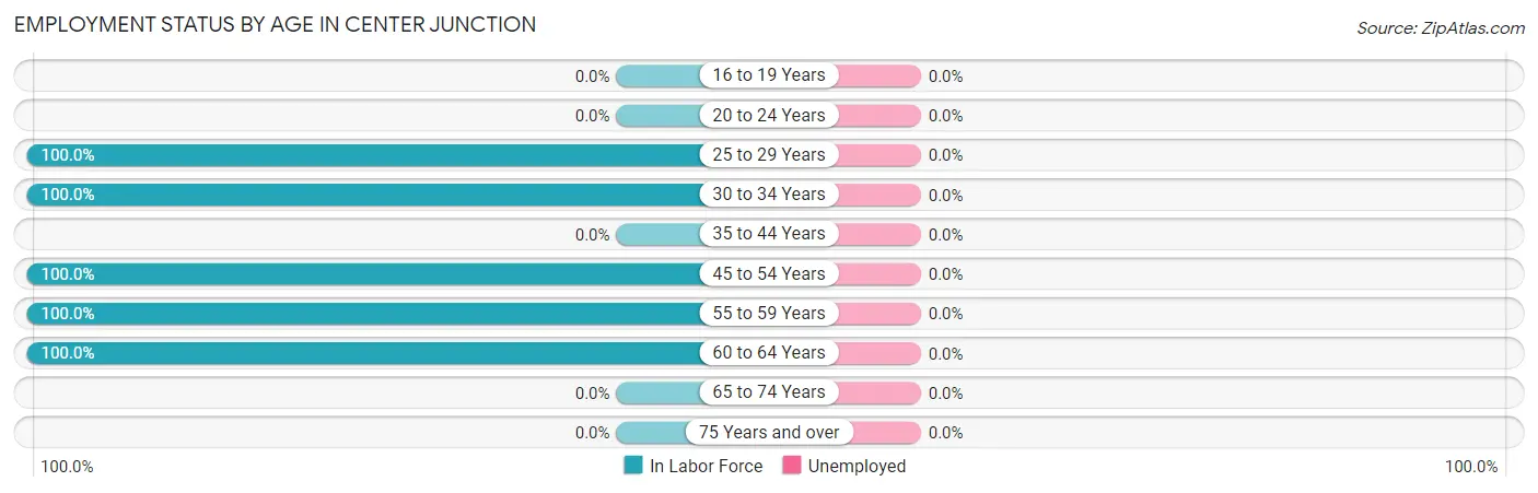 Employment Status by Age in Center Junction