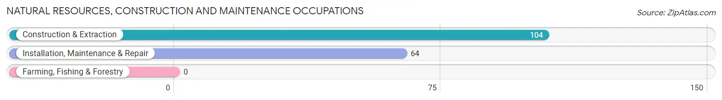 Natural Resources, Construction and Maintenance Occupations in Center Point