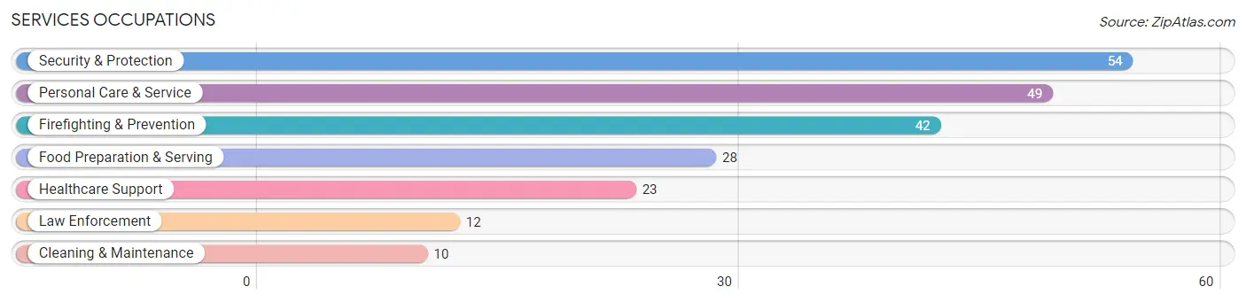 Services Occupations in Center Point