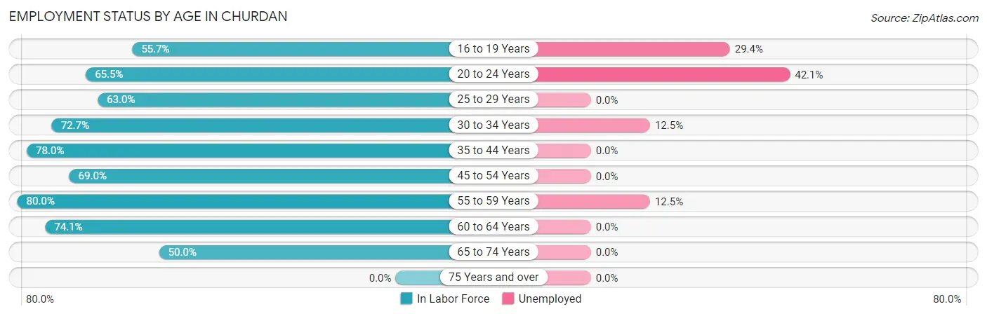 Employment Status by Age in Churdan